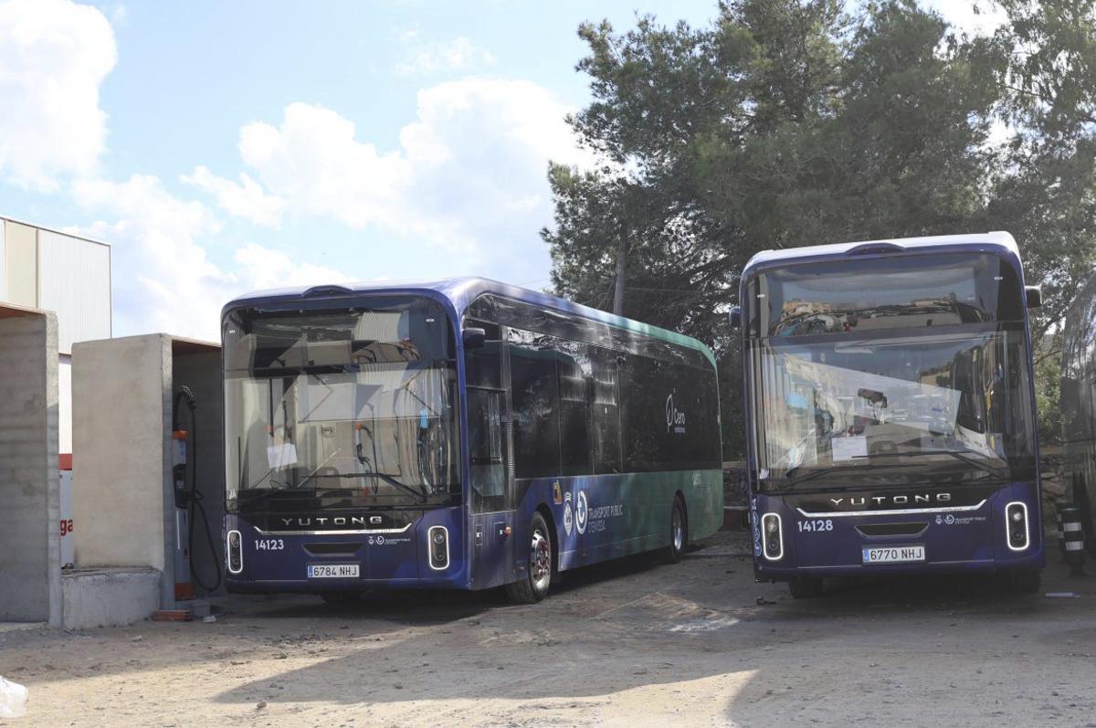 Autobuses nuevos de Alsa en sus garajes de Cala de Bou. | J. A. RIERA