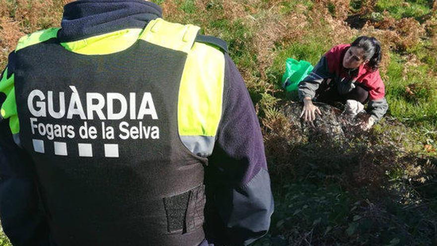 Un agent amb la veterinària atenent l&#039;emú.