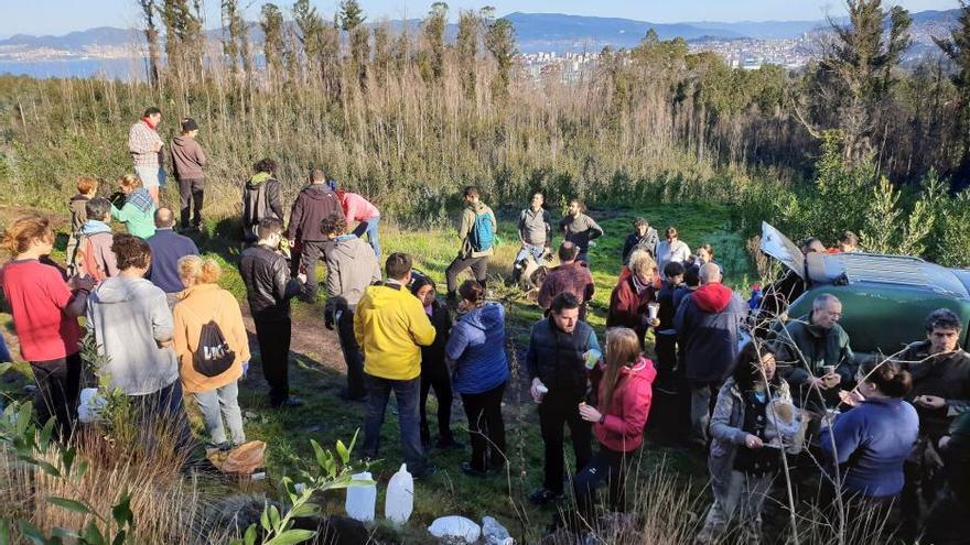 Decenas de voluntarios acuden a la llamada contra el eucalipto en Coruxo