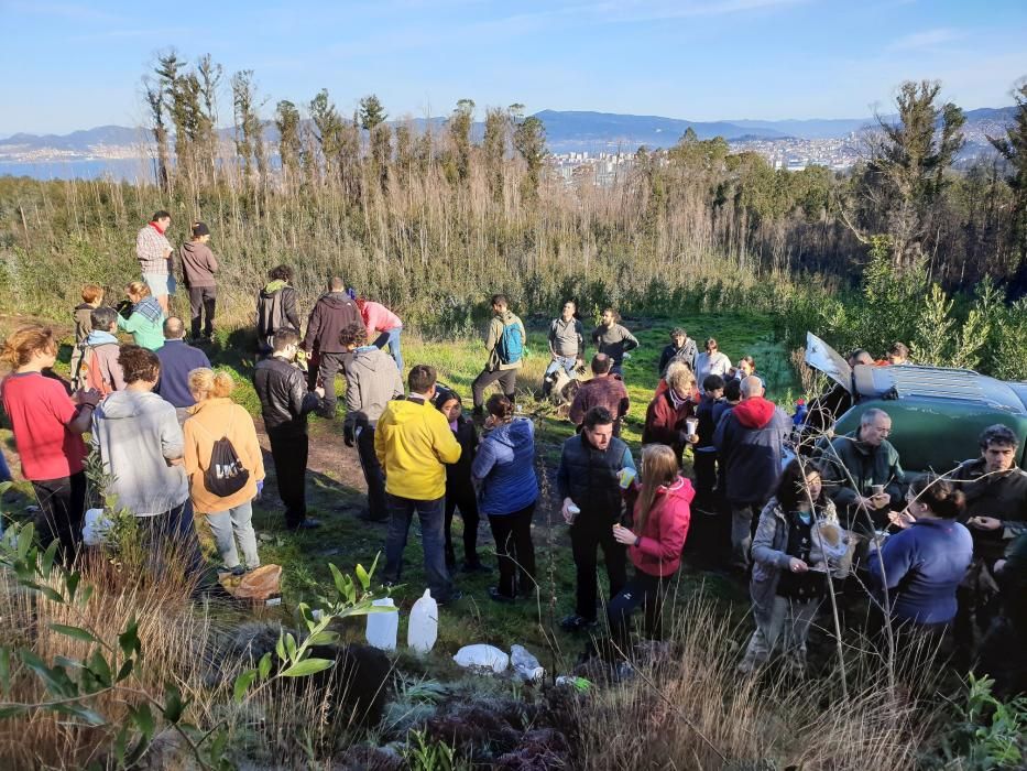 La Comunidad de Montes de Coruxo, que, en colaboración con las brigadas deseucaliptizadoras de Verdegaia, organizaron una jornada de voluntariado para liberar de eucaliptos el regato de O Pontón.