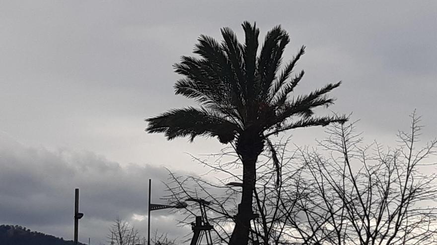 El tiempo en Extremadura: Cielos poco nubosos y temperaturas sin cambio