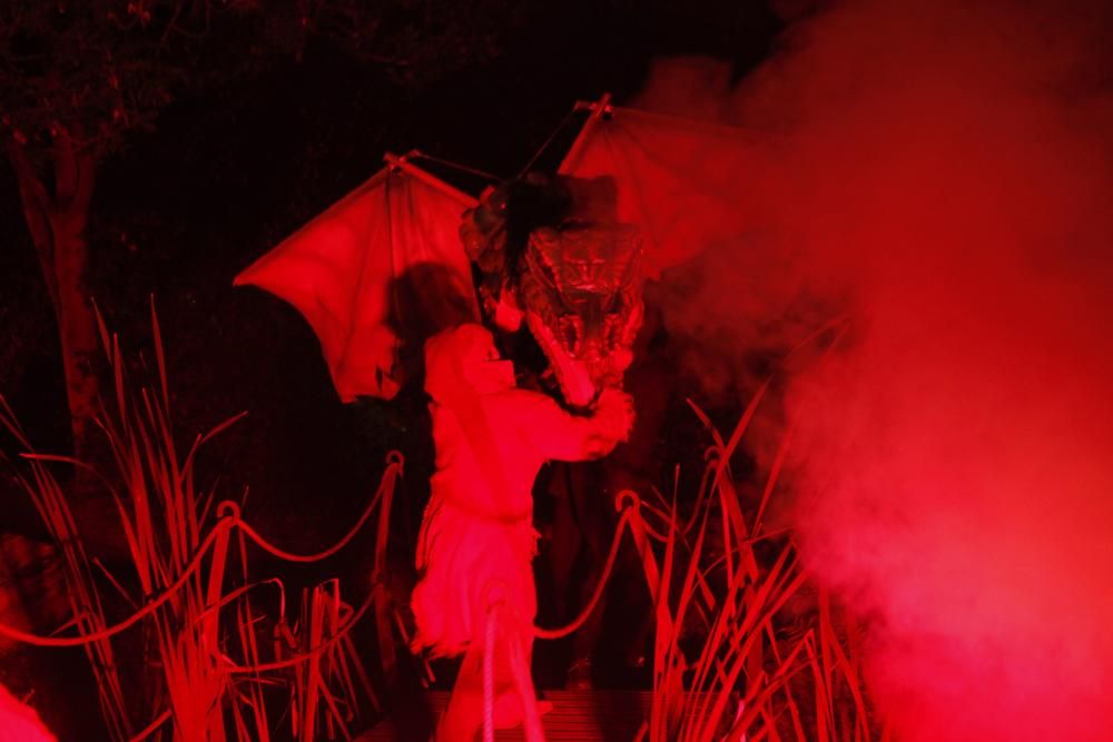 Noches mágicas en el Botánico de Gijón