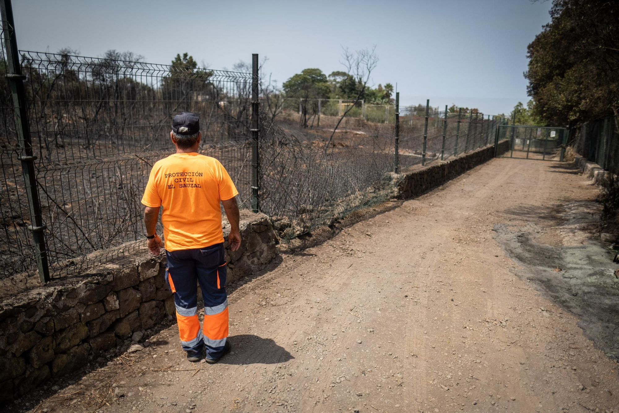 Monitoring of the fire in Tenerife