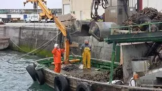 Las biotoxinas paralizante, diarreica y amnésica vuelven a aliarse en las rías