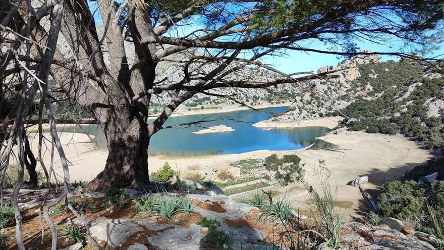 Trockenheit auf Mallorca: Jetzt gilt überall eine Vorwarnstufe