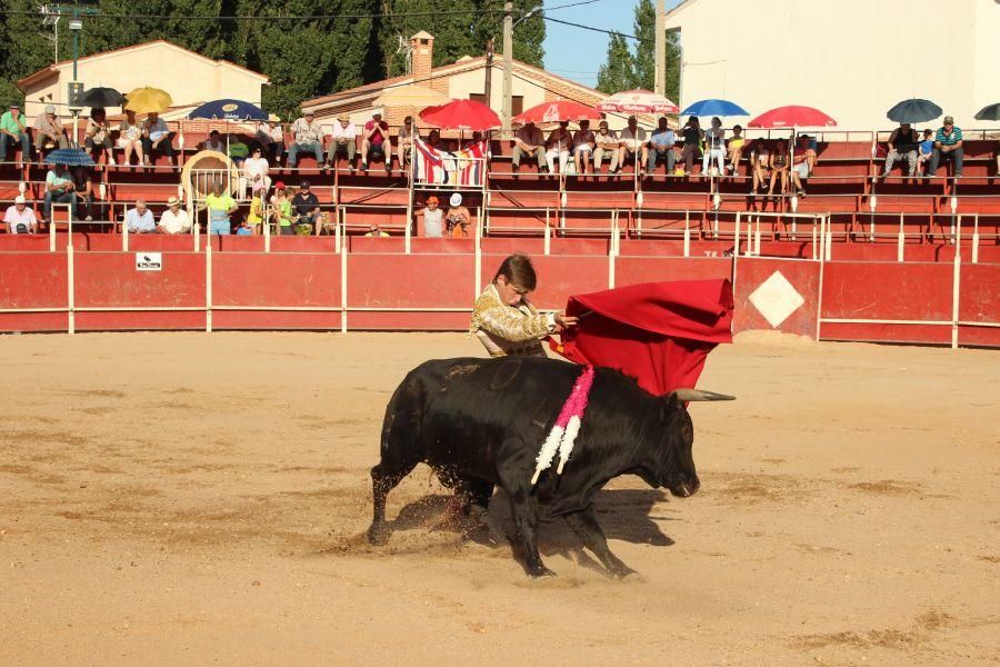 Fiestas en Zamora: Encierro y toros en Villamor