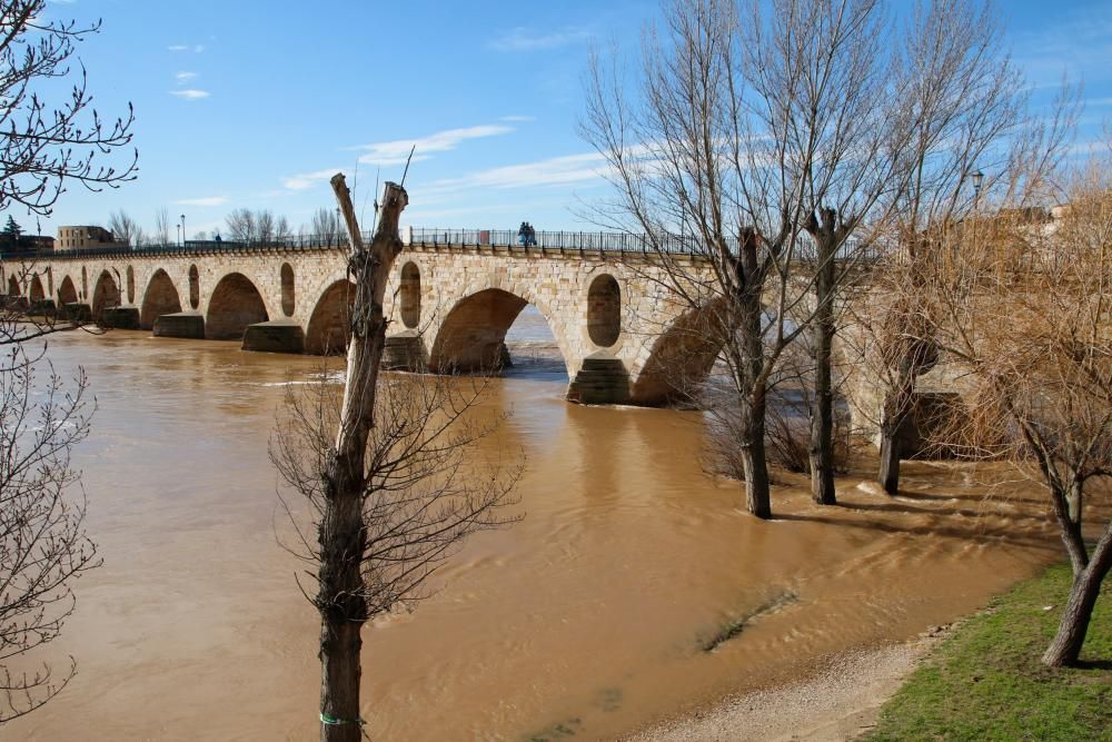 El aspecto del Duero tras las últimas avenidas