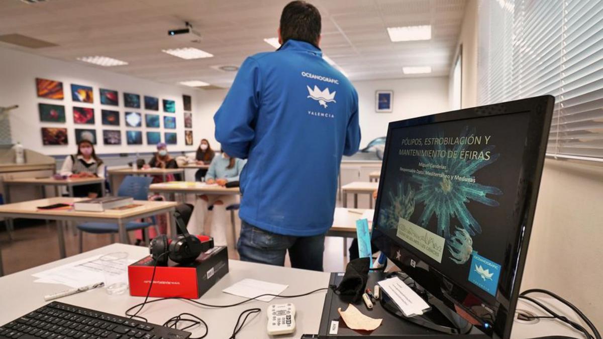 Arranquen els cursos universitaris sobre els animals de l’Oceanogràfic