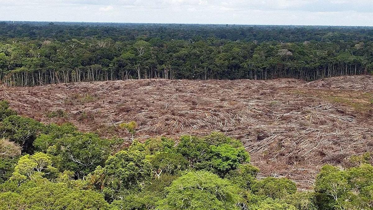 Deforestación en la selva de la Amazonía de Brasil.