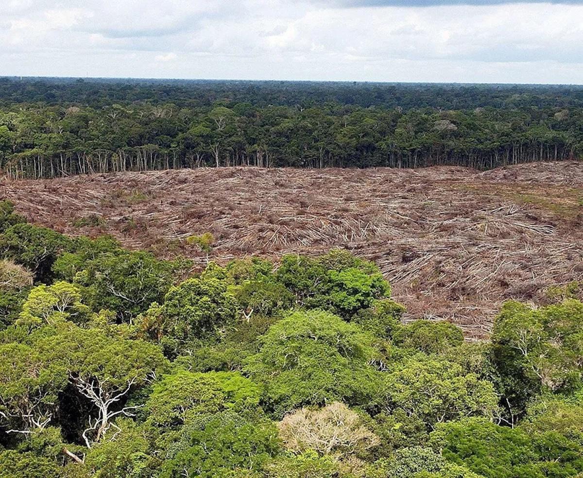 Deforestación en la selva de la Amazonía de Brasil.