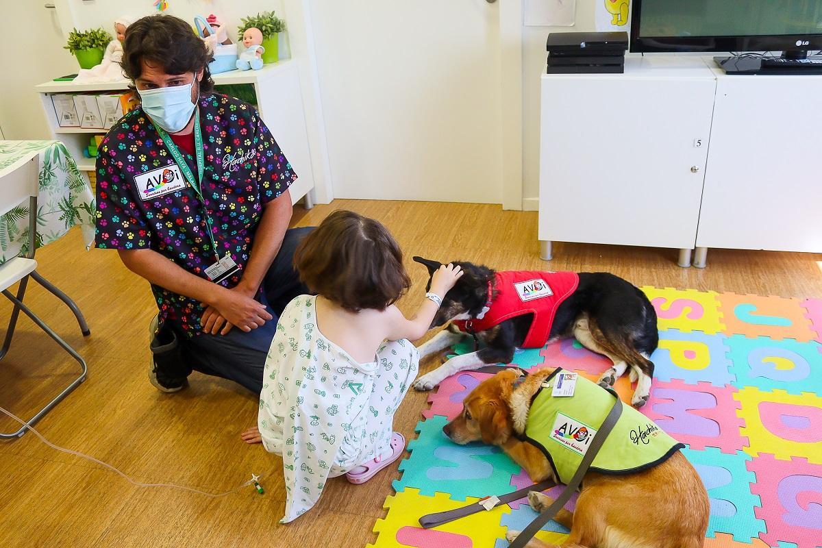 Imagen de una de las sesiones de terapia canina en el Hospital Materno con AVOI