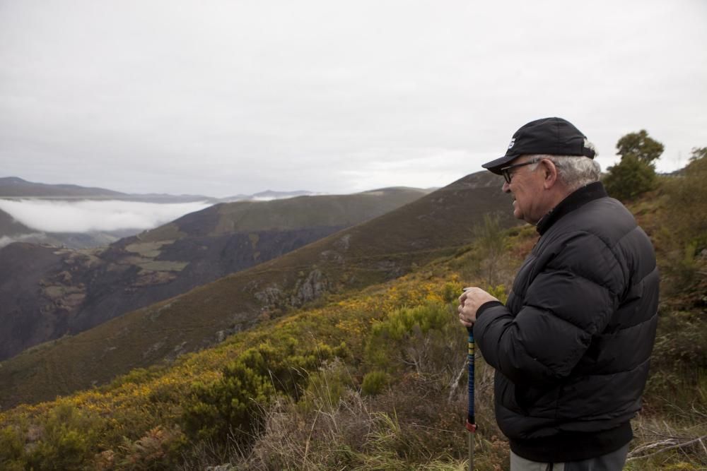 Allande y Grandas de Salime: recorrido por los territorios quemados en los últimos incendios