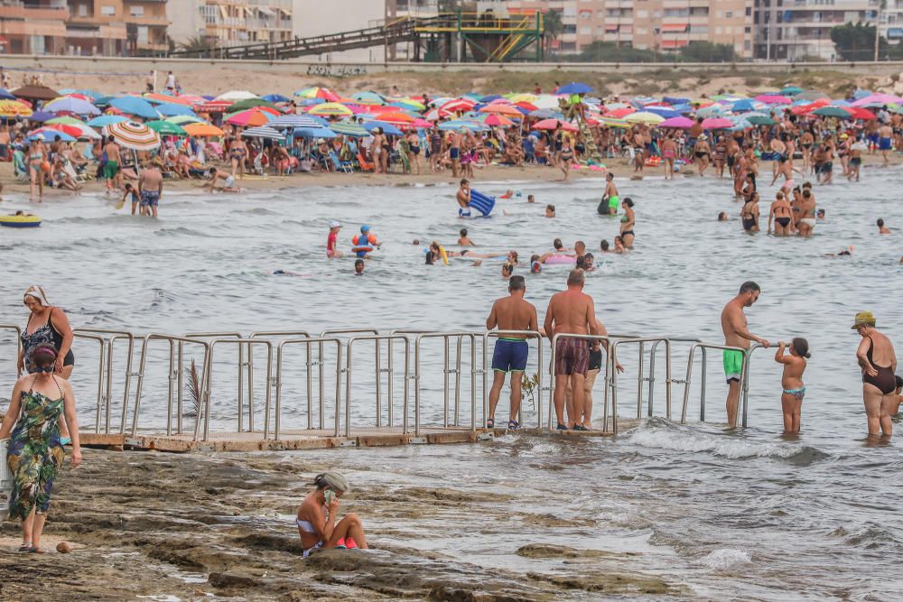 Baño para todos en Torrevieja