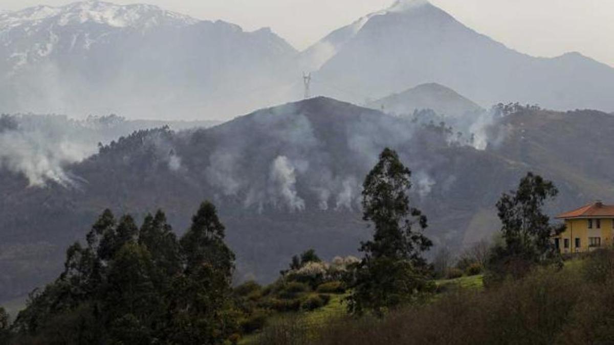 Un incendio en Ribera de Arriba.