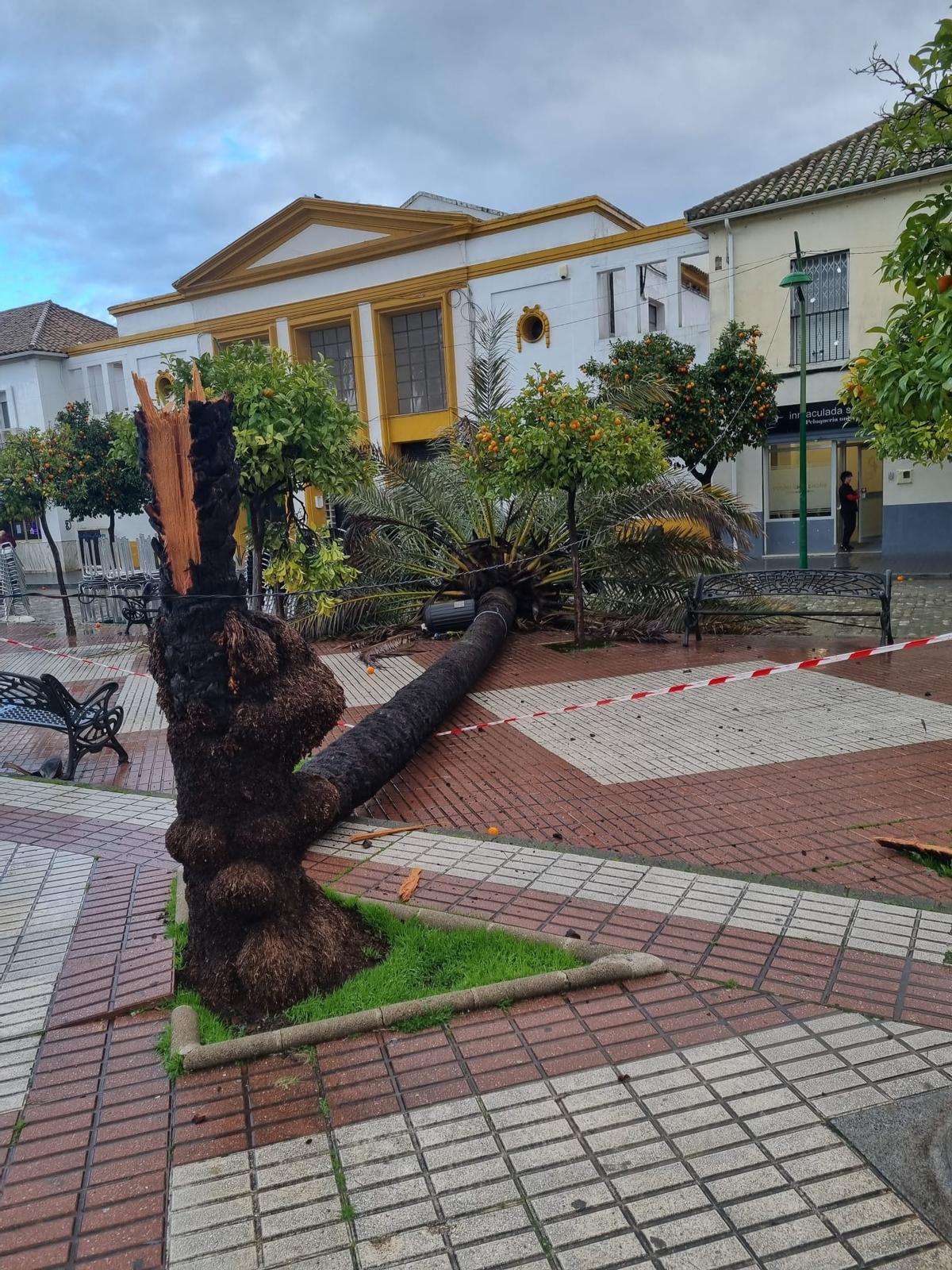 Aviso naranja en Córdoba