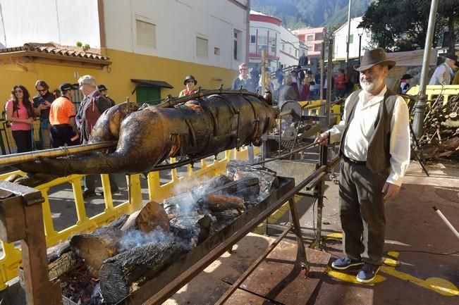 Día del turista en la "Ruta del almendrero en ...