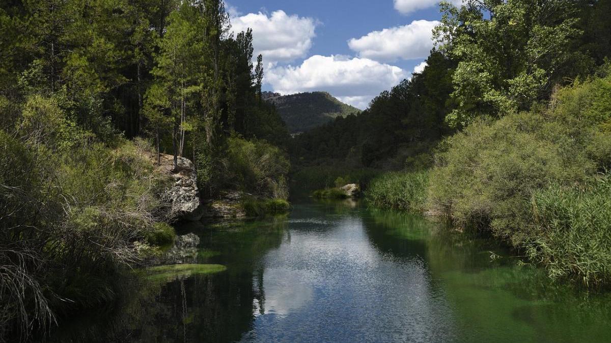 Imagen reciente del cauce del Tajo, desde donde se capta el agua del trasvase