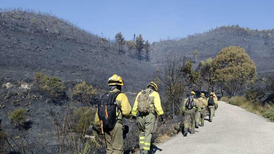 Brigadistas en el incendio de Mondariz de principios de mes.