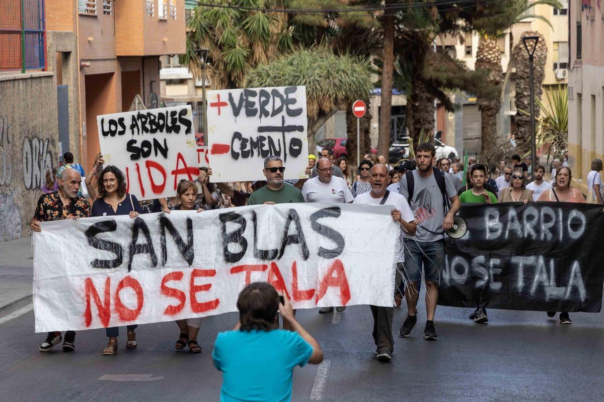 Los vecinos de San Blas claman de nuevo por la tala de árboles en el barrio