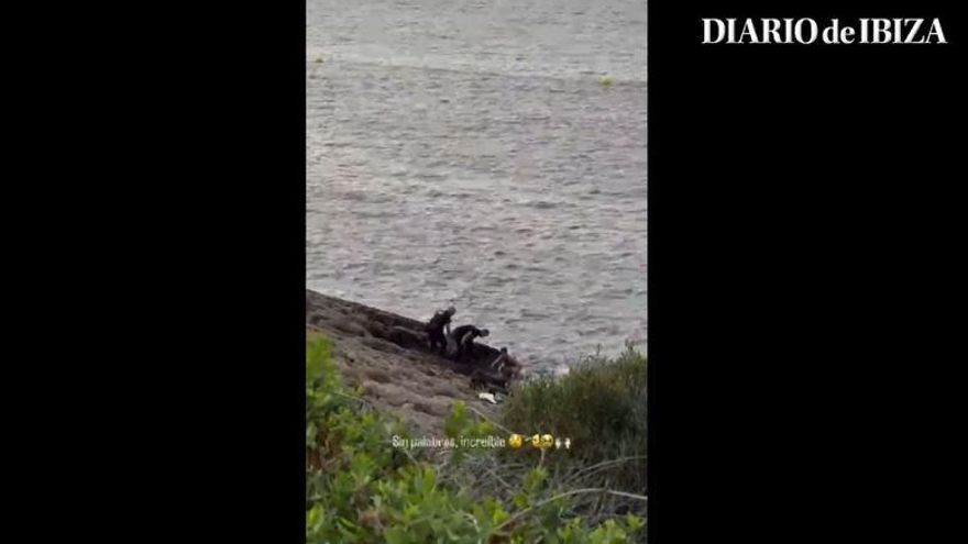 Vídeo: Un ibicenco y su perro rescatan a un turista que se estaba ahogando en ses Figueretes