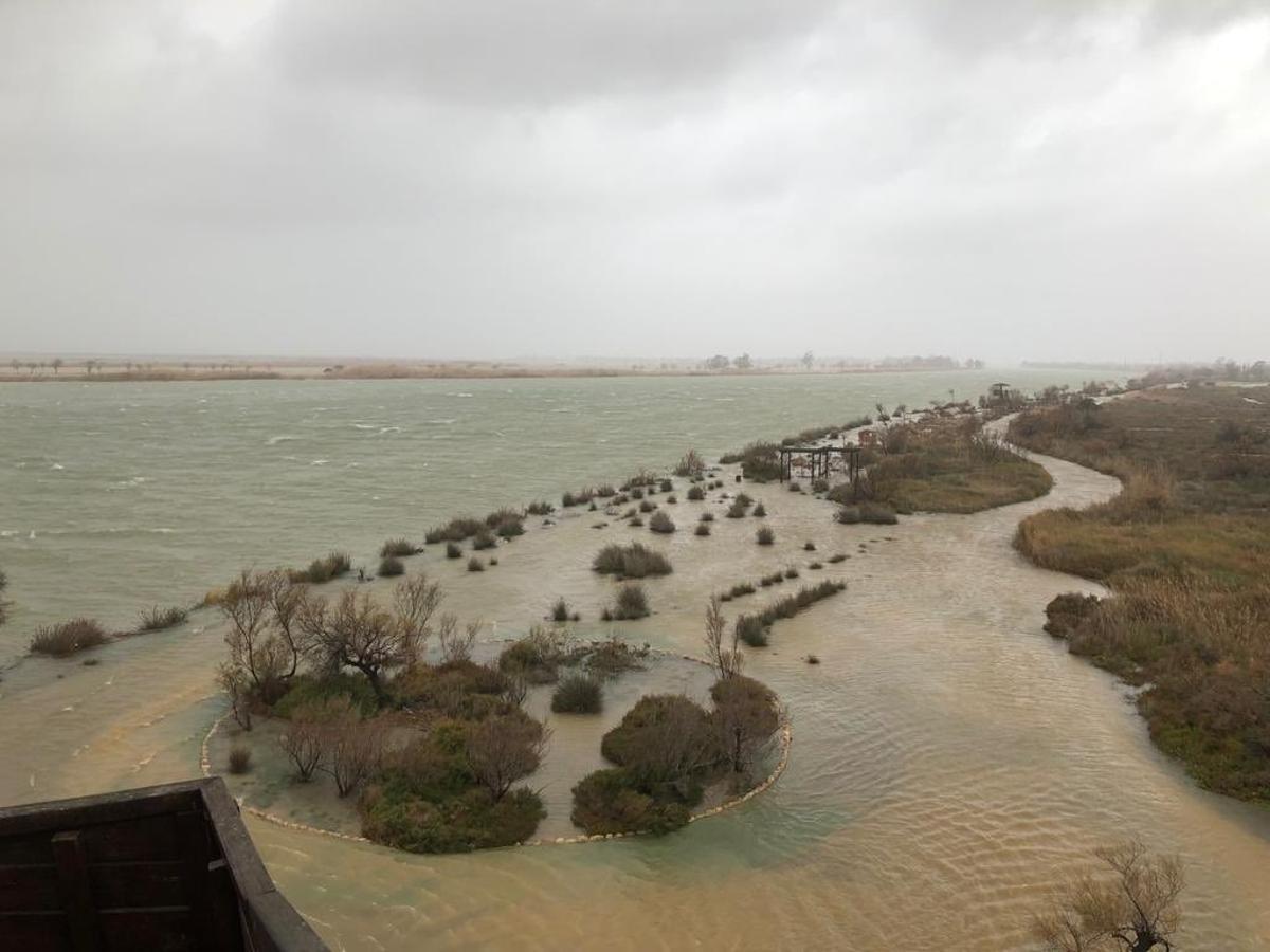 Comienza el estudio sedimentario del Delta del Ebro para frenar su deterioro
