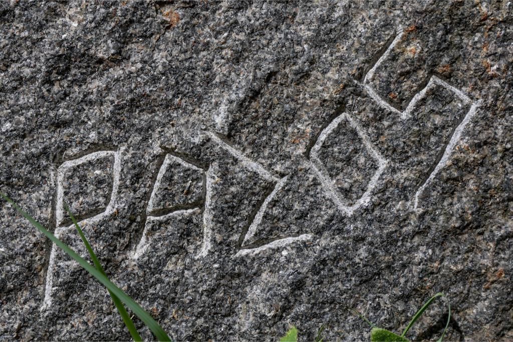 Así es el territorio de artista de Francisco Pazos
