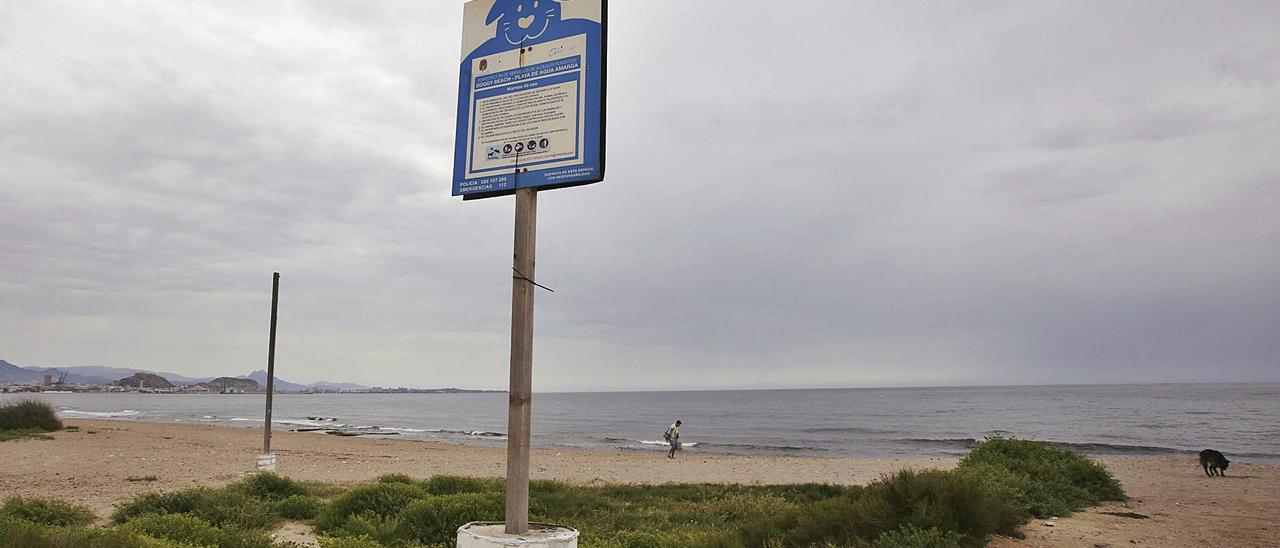 La playa canina de Agua Amarga, que se proyectó como un atractivo turístico en 2016, lleva años sin ni siquiera un chiringuito.  | PILAR CORTÉS