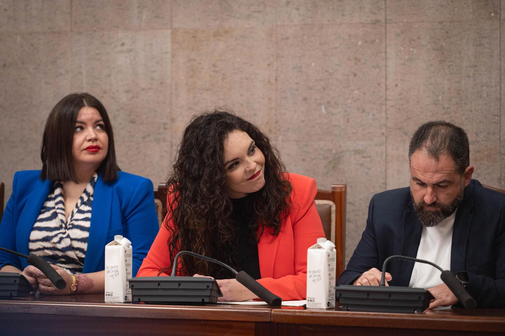 Moción de censura en Granadilla de Abona