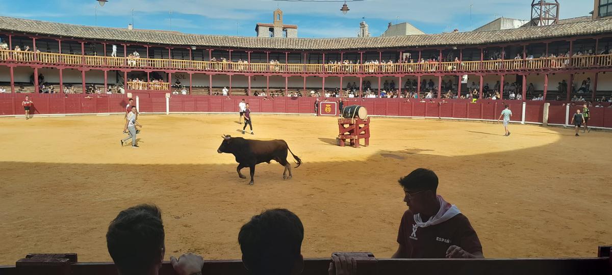 GALERÍA | La Fuente de Vino en la plaza de toros de Toro, en imágenes