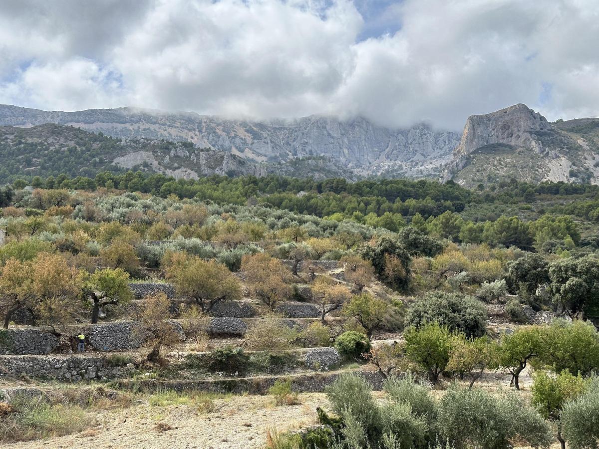 Aitana desde Benifato.