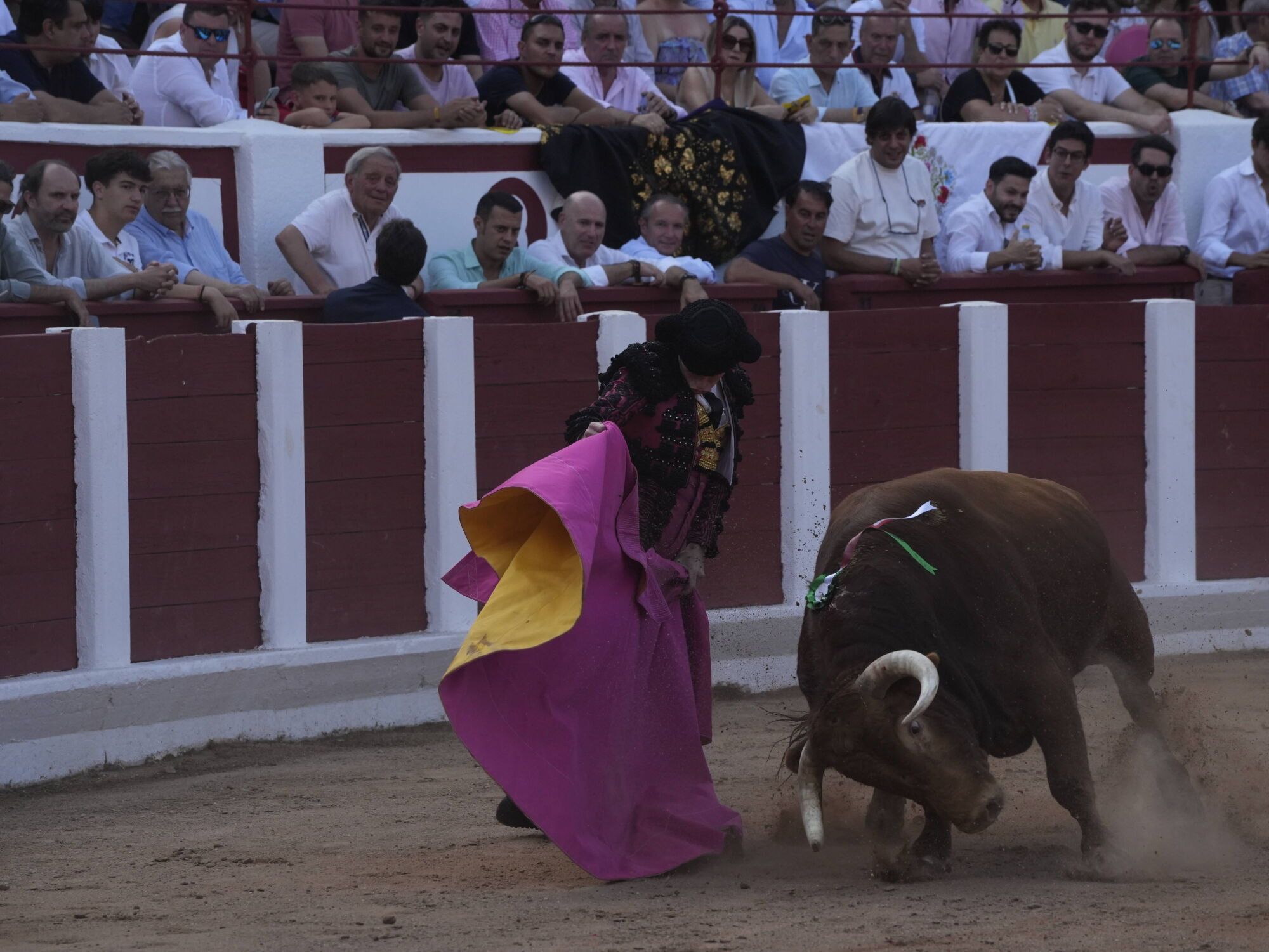 Las mejores imágenes de la feria taurina de San Pedro en Zamora.