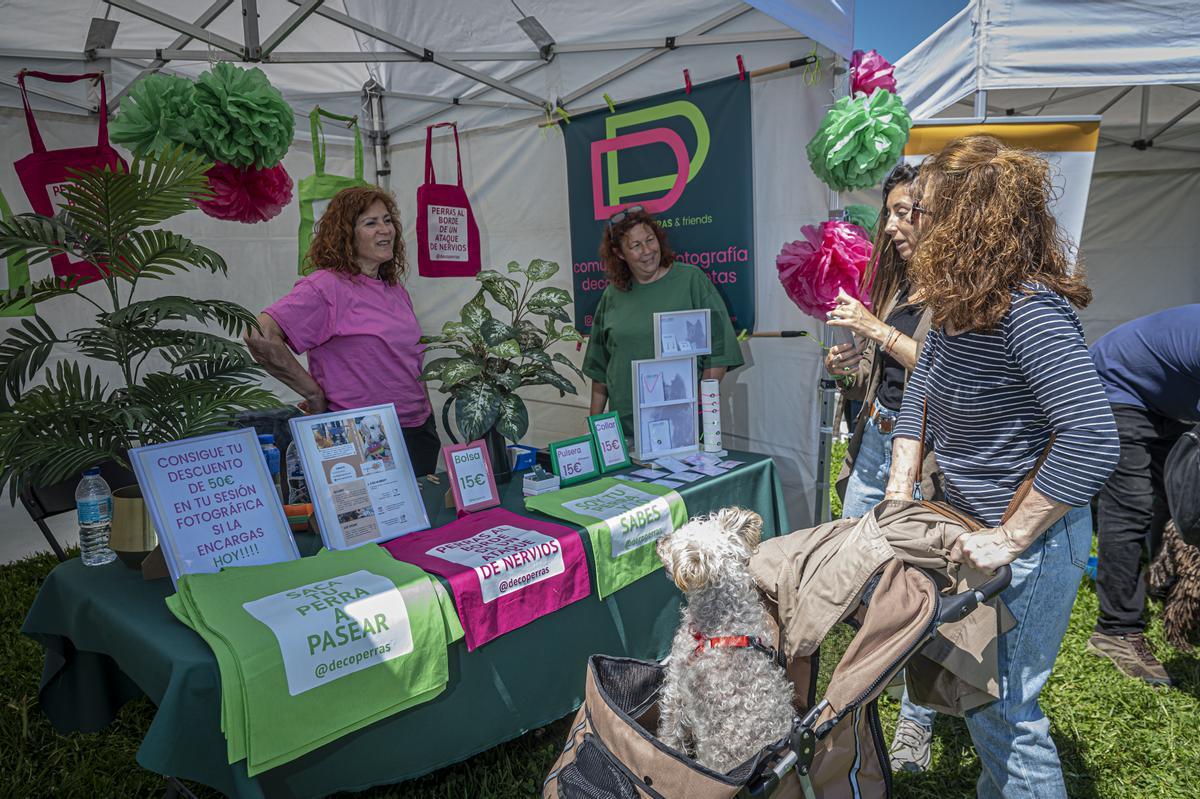 CAN WE RUN BARCELONA. La carrera organizada por Prensa Ibérica y El Periódico de Catalunya con la colaboración de Sport ,  donde las personas y sus mascotas perrunas corren en familia