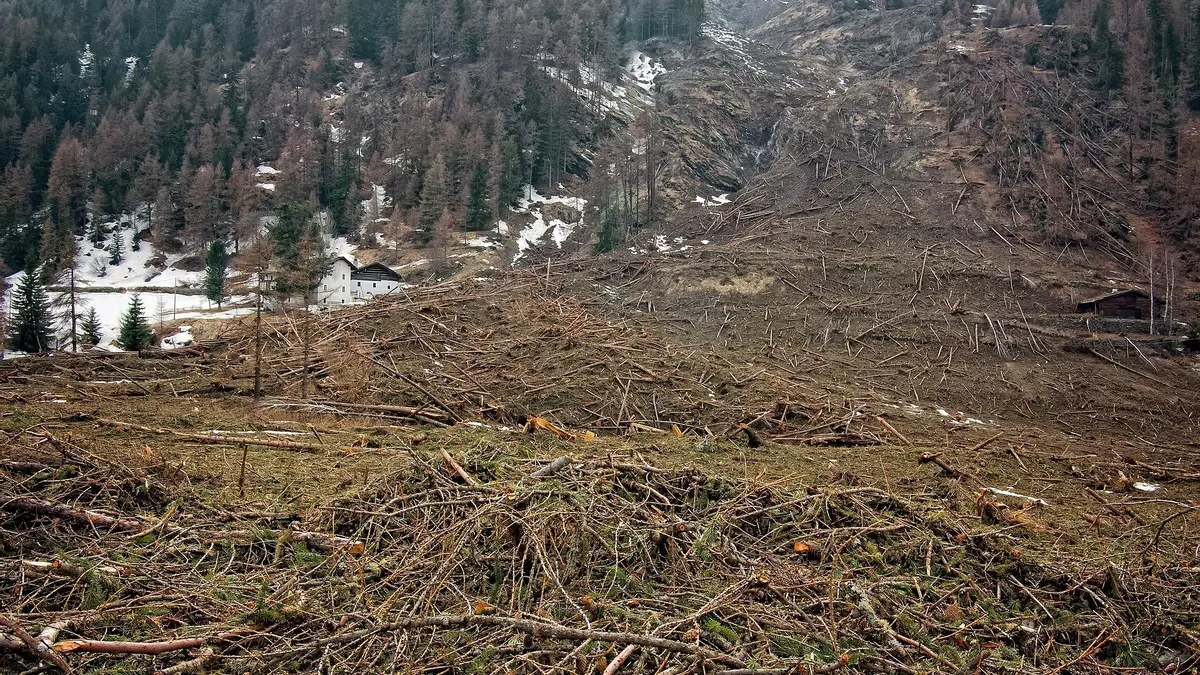La tala rasa de bosques aumenta 18 veces la frecuencia y magnitud de las inundaciones catastróficas