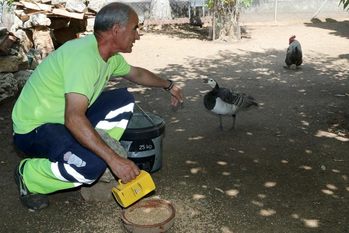 Un cuidador junto a una cariblanca. Zoo de Aves de Herrera de Pisuerga