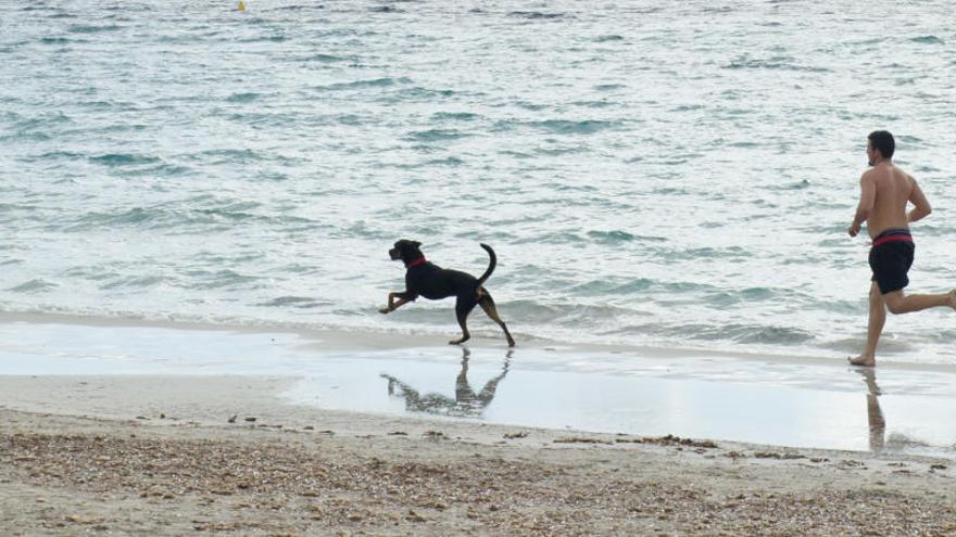 Un hombre corre con su perro por la playa.