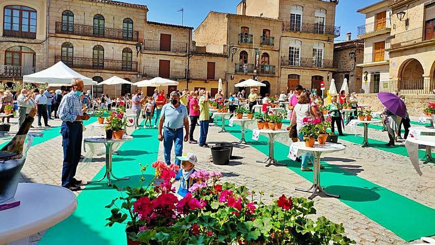 Fermoselle se engalana con geranios | CEDIDA