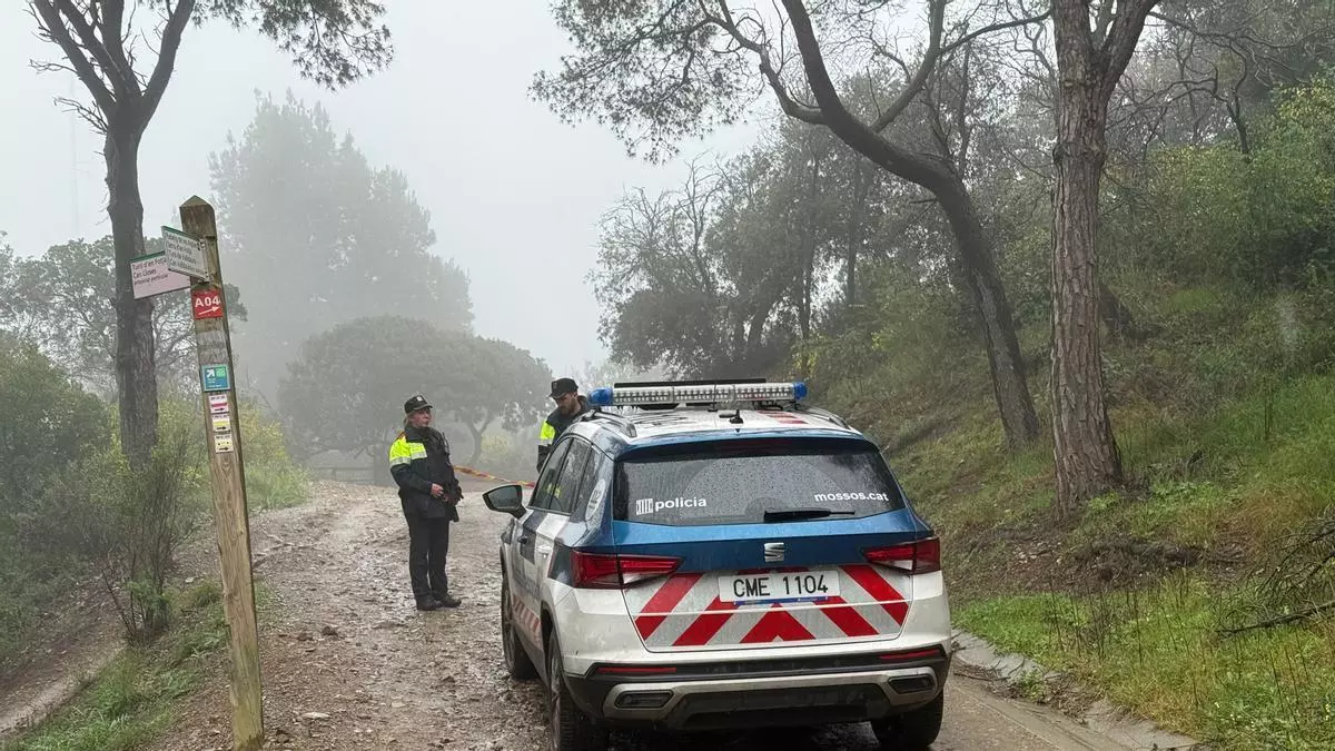 La lluvia vacía Collserola en el primer sábado de cierre por la peste porcina africana