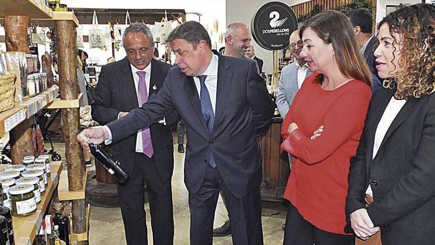 Miquel Gual, Luis Planas, Francina Armengol y Rosario SÃ¡nchez, ayer durante la visita a la cooperativa.