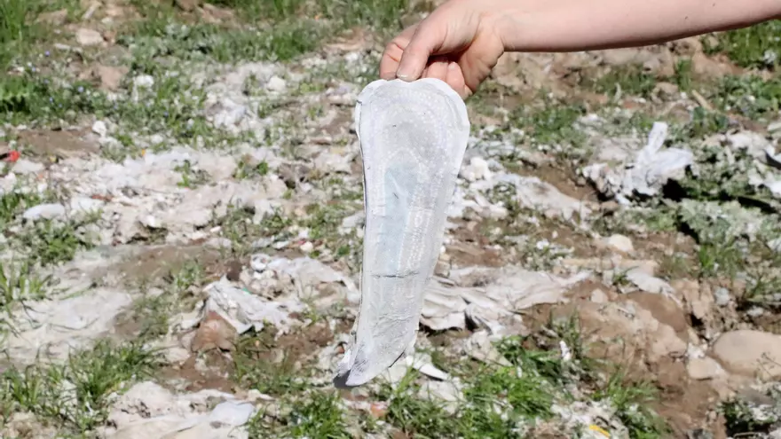 Centenars de tovalloletes s'acumulen al riu Anoia després de les darreres pluges