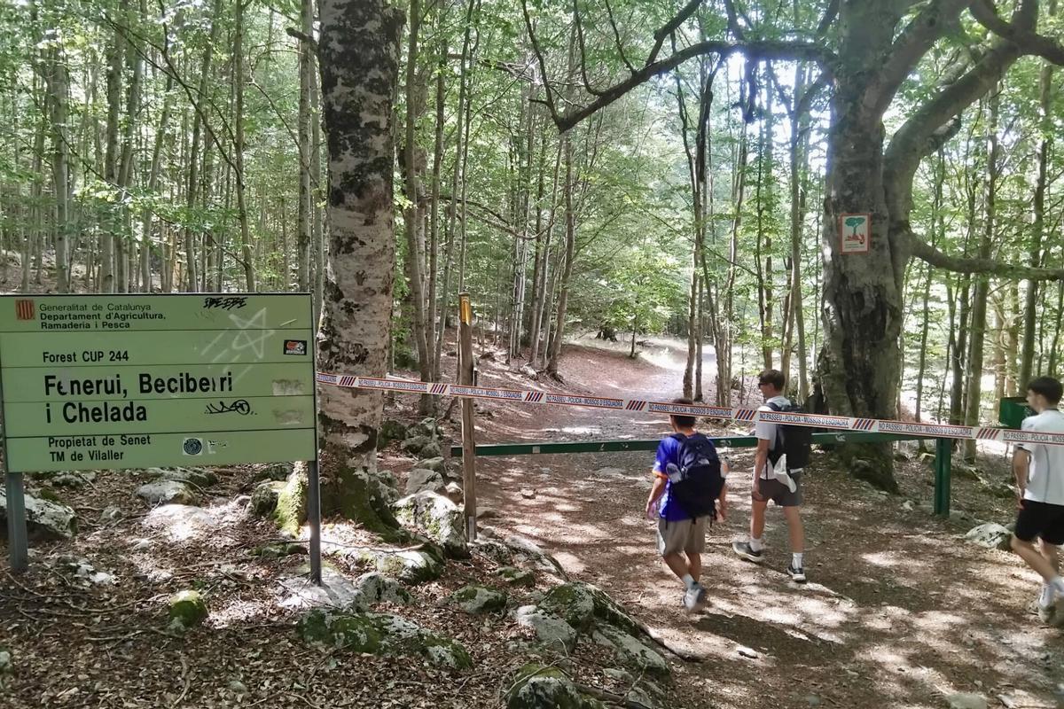 Cinta de los Mossos d’Esquadra que prohíbe el paso a excursionistas en Collserola por la peste porcina