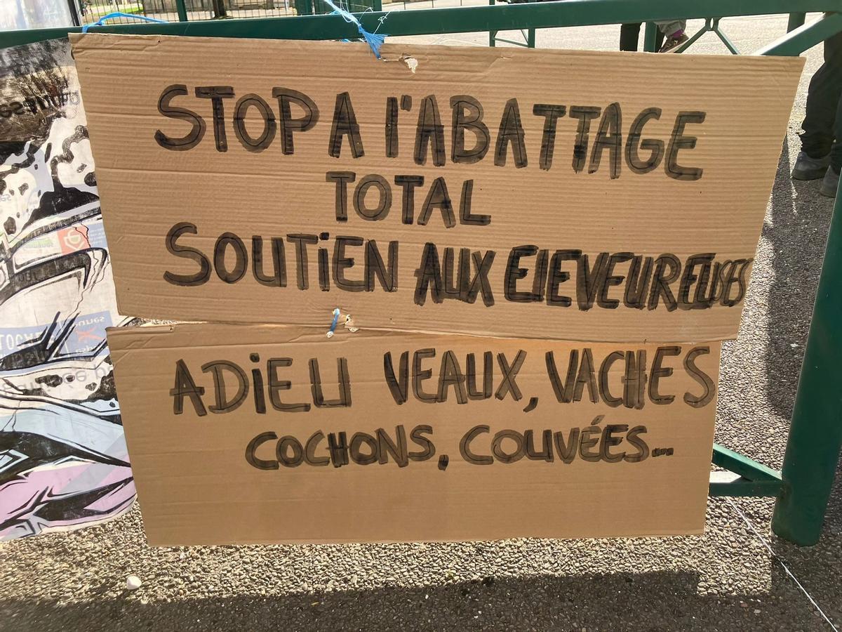 Pancarta contraria al sacrifico de cabezas de ganado afectado por la dermatosis nodular, en una protesta en Francia.