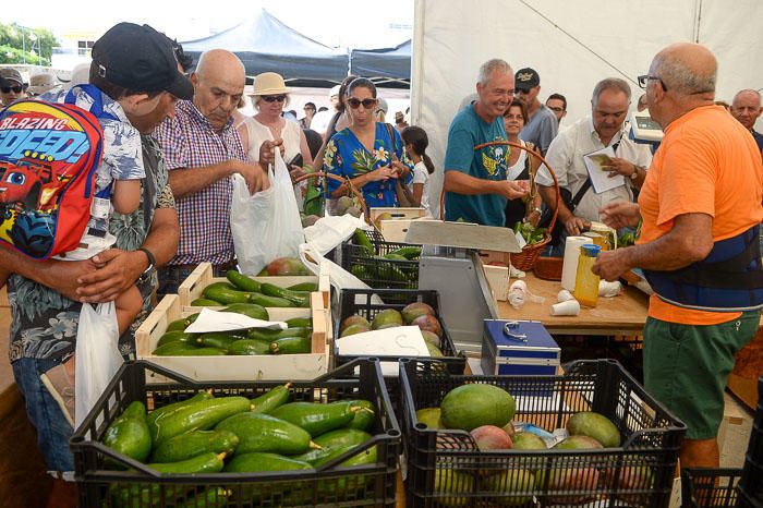 II FERIA MANGO Y AGUACATE