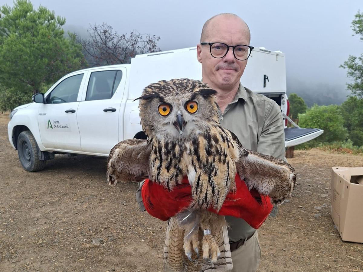 El delegado territorial de Sostenibilidad y Medio Ambiente, José Antonio Víquez sujeta una de las aves en el mirador de Francisco Vázquez Sell.