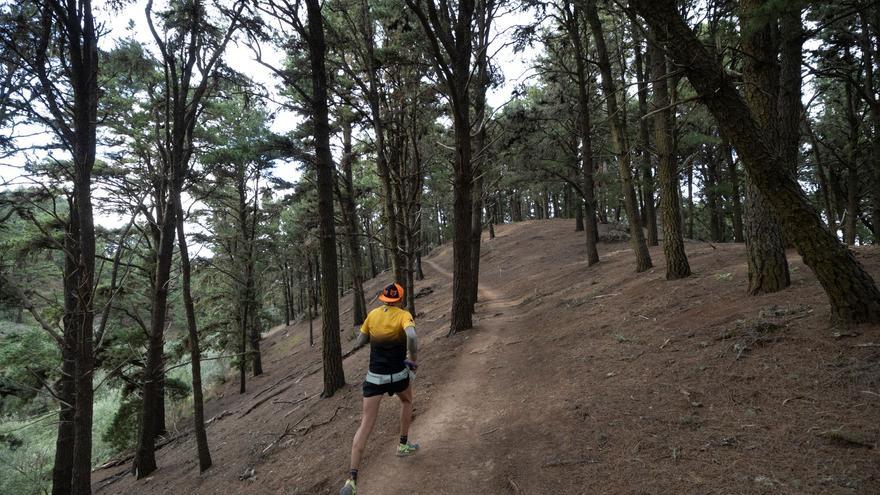 Regresa la emoción de Entre Cortijos a Guía de Gran Canaria