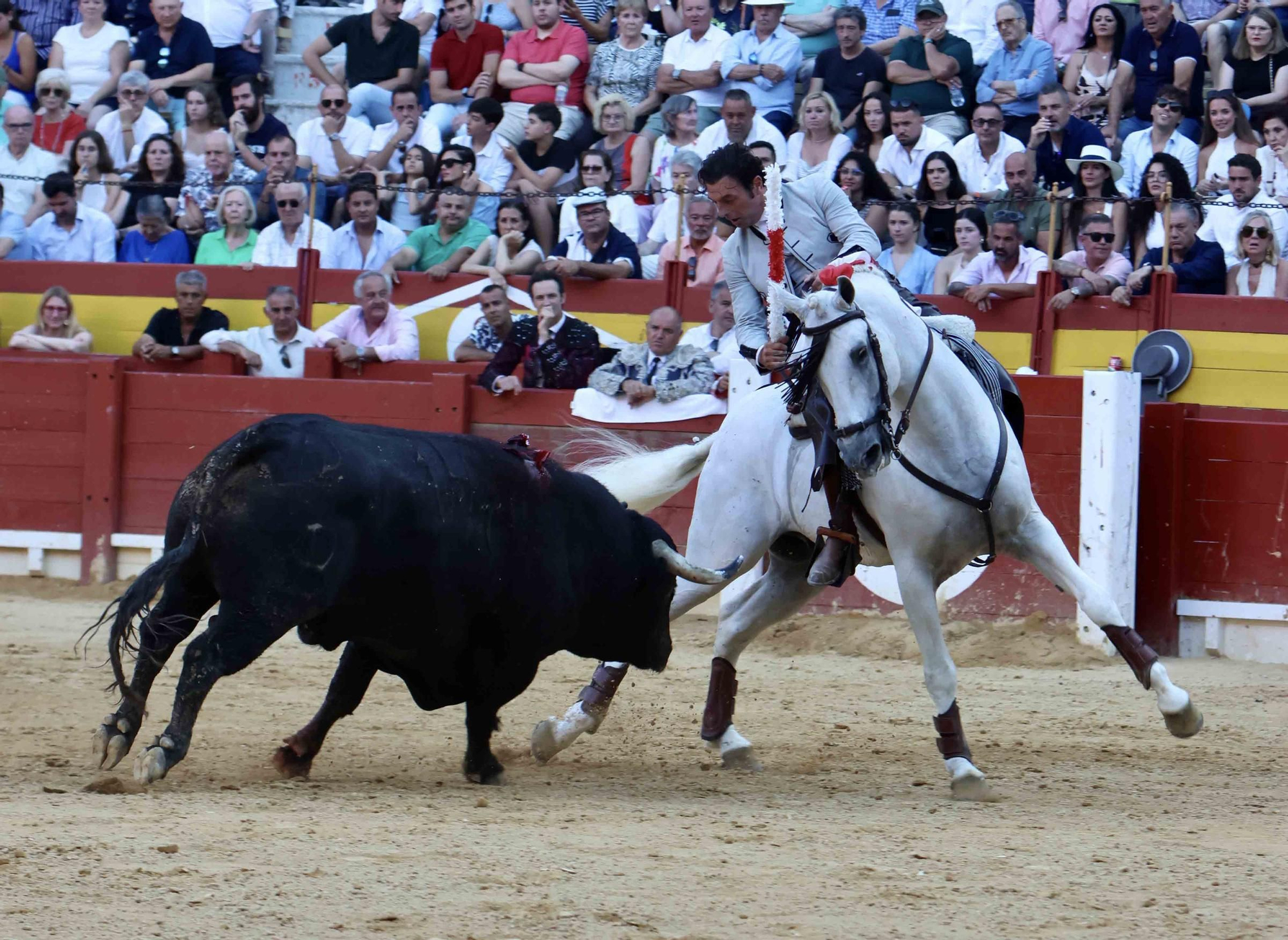 Andy Cartagena, Diego Ventura y Guillermo Hermoso abren la puerta grande en la primera de las Hogueras de Alicante 2024