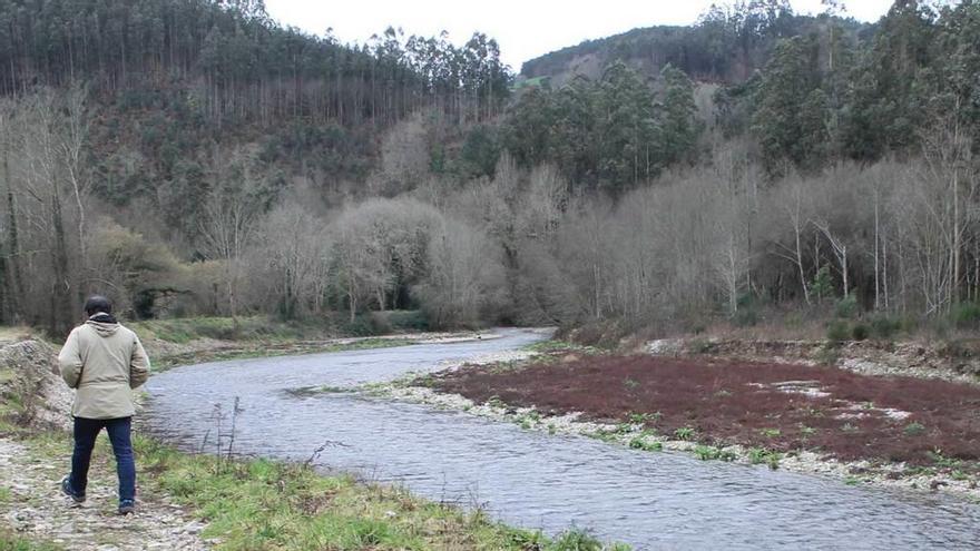 El tramo conflictivo del río Esva, a la altura de Brieves.