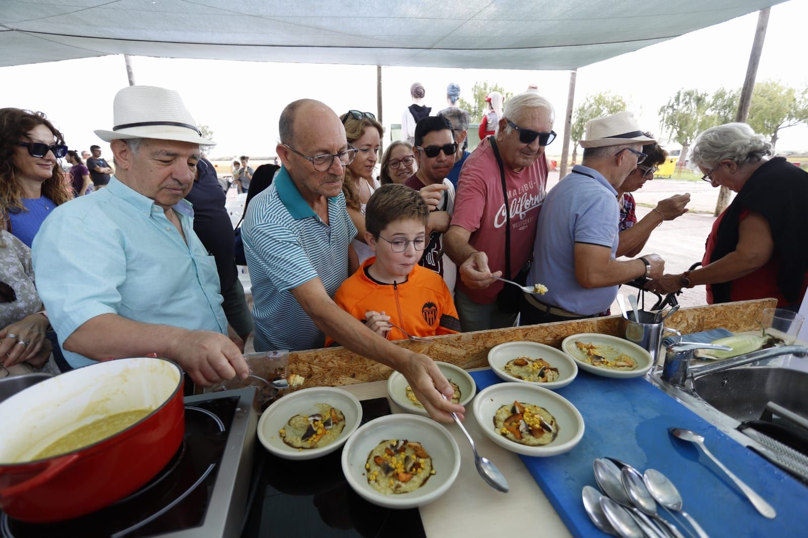 Todas las imágenes de la Fiesta de la Siega del Arroz 2024