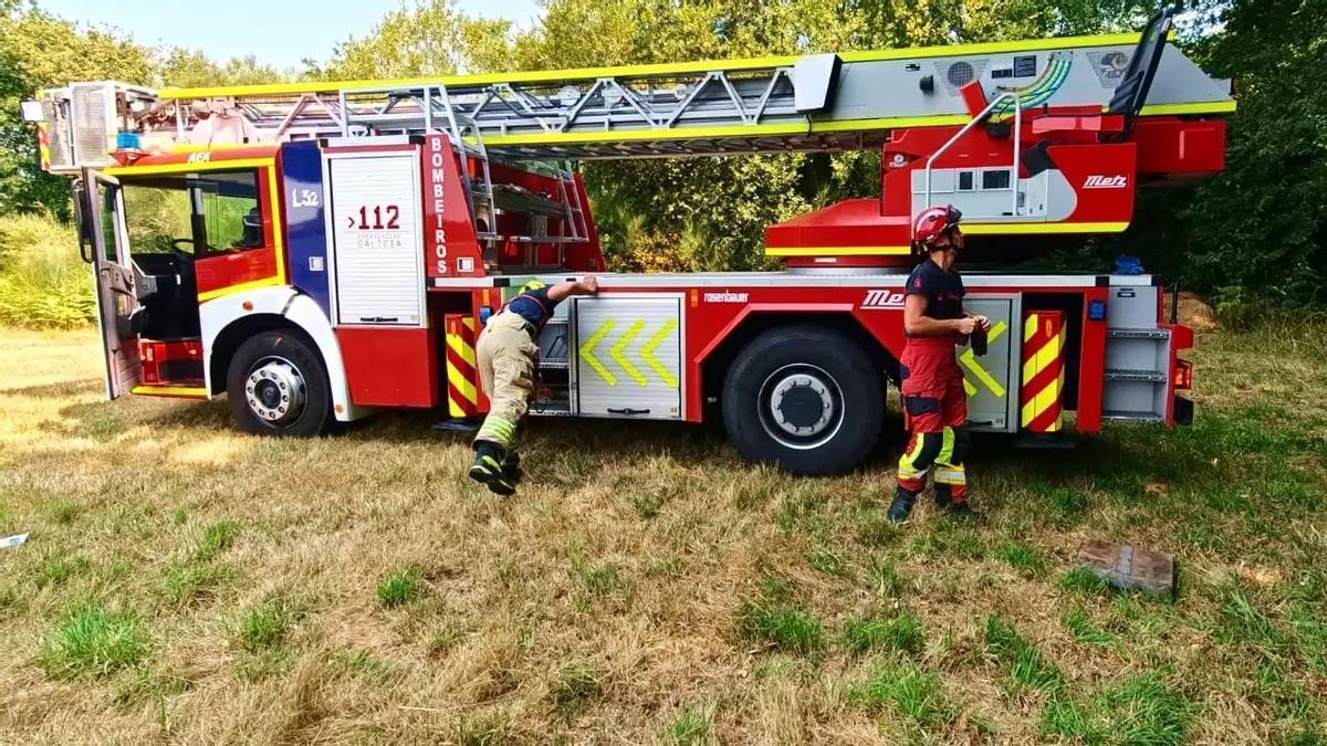 Los bomberos se preparan para un rescate felino.