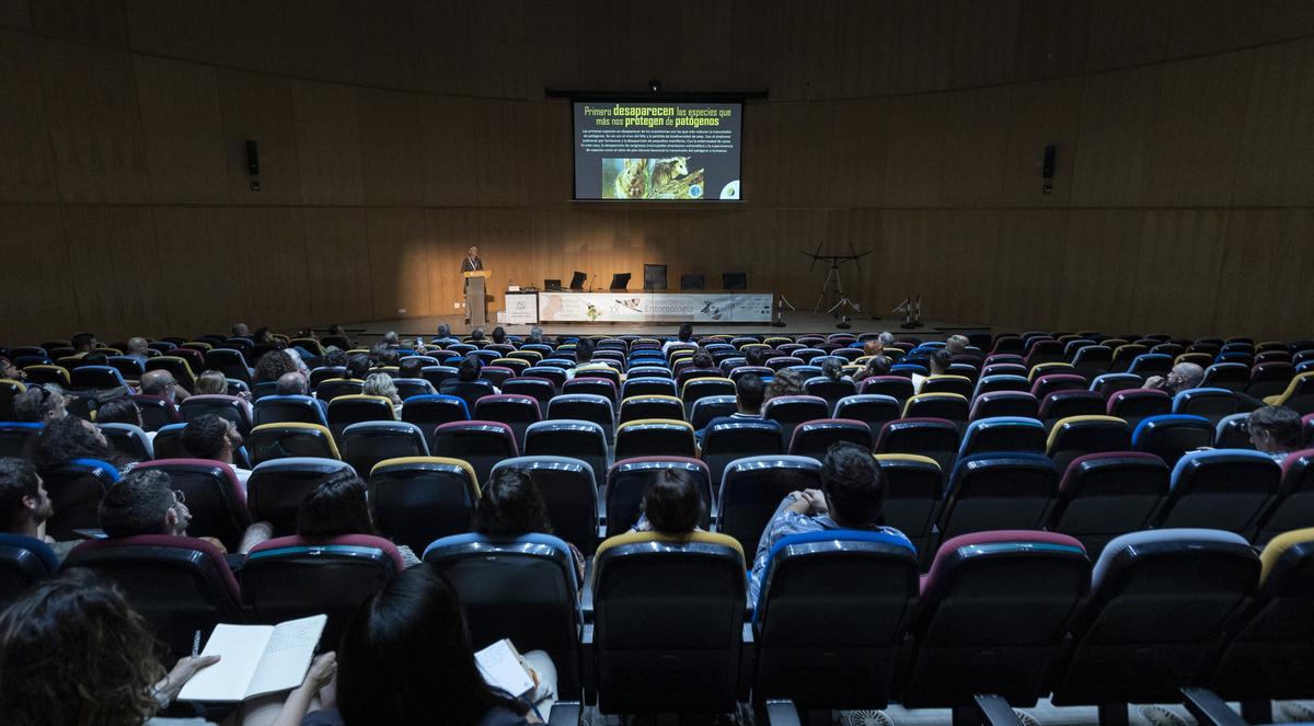 Una de las conferencias celebradas en la Universidad para abordar la problemática por la desaparición de los insectos.