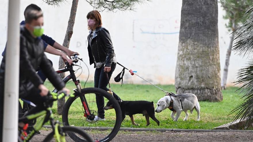 Varios usuarios muestran su malestar porque los canes entran y hacen sus necesidades en la zona ajardinada o en la de los juegos infantiles.